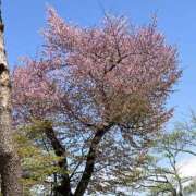 ヒメ日記 2025/04/28 07:31 投稿 ゆう モアグループ熊谷人妻花壇