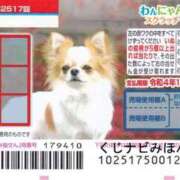 ヒメ日記 2024/12/06 08:01 投稿 志波 菜穂 30代40代50代と遊ぶなら博多人妻専科24時