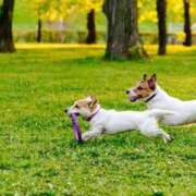 ヒメ日記 2024/12/08 09:31 投稿 志波 菜穂 30代40代50代と遊ぶなら博多人妻専科24時