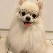 ヒメ日記 2024/12/09 19:44 投稿 志波 菜穂 30代40代50代と遊ぶなら博多人妻専科24時