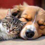 ヒメ日記 2024/12/13 08:01 投稿 志波 菜穂 30代40代50代と遊ぶなら博多人妻専科24時