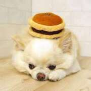 ヒメ日記 2025/03/07 20:55 投稿 志波 菜穂 30代40代50代と遊ぶなら博多人妻専科24時