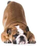 ヒメ日記 2025/03/08 09:15 投稿 志波 菜穂 30代40代50代と遊ぶなら博多人妻専科24時