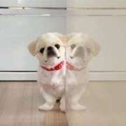 ヒメ日記 2025/03/10 18:49 投稿 志波 菜穂 30代40代50代と遊ぶなら博多人妻専科24時