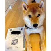 ヒメ日記 2025/03/18 22:30 投稿 志波 菜穂 30代40代50代と遊ぶなら博多人妻専科24時