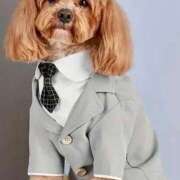 ヒメ日記 2025/03/23 21:45 投稿 志波 菜穂 30代40代50代と遊ぶなら博多人妻専科24時