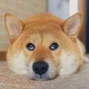 ヒメ日記 2025/03/24 22:52 投稿 志波 菜穂 30代40代50代と遊ぶなら博多人妻専科24時