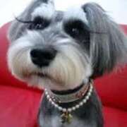 ヒメ日記 2025/03/25 21:19 投稿 志波 菜穂 30代40代50代と遊ぶなら博多人妻専科24時