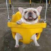 ヒメ日記 2025/03/26 13:01 投稿 志波 菜穂 30代40代50代と遊ぶなら博多人妻専科24時