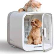 ヒメ日記 2025/03/27 23:02 投稿 志波 菜穂 30代40代50代と遊ぶなら博多人妻専科24時