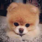 ヒメ日記 2025/03/29 09:15 投稿 志波 菜穂 30代40代50代と遊ぶなら博多人妻専科24時