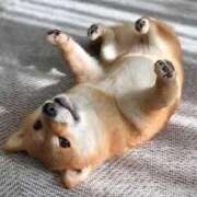 ヒメ日記 2025/03/30 09:02 投稿 志波 菜穂 30代40代50代と遊ぶなら博多人妻専科24時