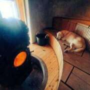 ヒメ日記 2025/04/09 22:58 投稿 志波 菜穂 30代40代50代と遊ぶなら博多人妻専科24時