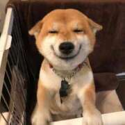 ヒメ日記 2025/04/12 11:56 投稿 志波 菜穂 30代40代50代と遊ぶなら博多人妻専科24時