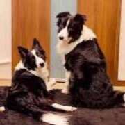 ヒメ日記 2025/04/13 08:45 投稿 志波 菜穂 30代40代50代と遊ぶなら博多人妻専科24時