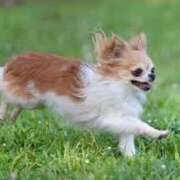 ヒメ日記 2025/04/16 09:32 投稿 志波 菜穂 30代40代50代と遊ぶなら博多人妻専科24時