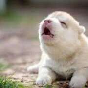 ヒメ日記 2025/04/28 21:59 投稿 志波 菜穂 30代40代50代と遊ぶなら博多人妻専科24時