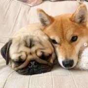 ヒメ日記 2025/05/03 09:15 投稿 志波 菜穂 30代40代50代と遊ぶなら博多人妻専科24時