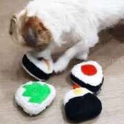 ヒメ日記 2025/05/09 21:37 投稿 志波 菜穂 30代40代50代と遊ぶなら博多人妻専科24時