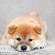 ヒメ日記 2025/05/12 14:18 投稿 志波 菜穂 30代40代50代と遊ぶなら博多人妻専科24時