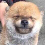 ヒメ日記 2025/05/14 10:01 投稿 志波 菜穂 30代40代50代と遊ぶなら博多人妻専科24時