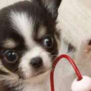 ヒメ日記 2025/05/21 09:15 投稿 志波 菜穂 30代40代50代と遊ぶなら博多人妻専科24時