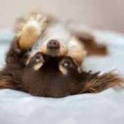 ヒメ日記 2025/05/25 09:30 投稿 志波 菜穂 30代40代50代と遊ぶなら博多人妻専科24時