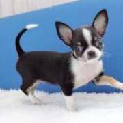 ヒメ日記 2025/05/28 21:05 投稿 志波 菜穂 30代40代50代と遊ぶなら博多人妻専科24時