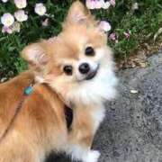 ヒメ日記 2025/05/29 13:53 投稿 志波 菜穂 30代40代50代と遊ぶなら博多人妻専科24時