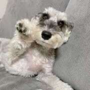 ヒメ日記 2025/06/02 19:09 投稿 志波 菜穂 30代40代50代と遊ぶなら博多人妻専科24時