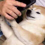 ヒメ日記 2025/06/06 22:20 投稿 志波 菜穂 30代40代50代と遊ぶなら博多人妻専科24時