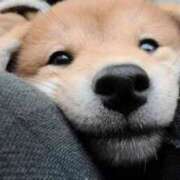 ヒメ日記 2025/06/07 09:01 投稿 志波 菜穂 30代40代50代と遊ぶなら博多人妻専科24時