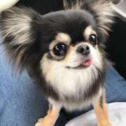 ヒメ日記 2025/06/08 09:30 投稿 志波 菜穂 30代40代50代と遊ぶなら博多人妻専科24時