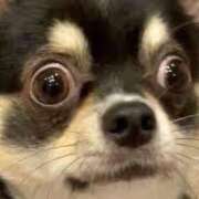 ヒメ日記 2025/06/09 19:17 投稿 志波 菜穂 30代40代50代と遊ぶなら博多人妻専科24時