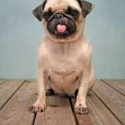 ヒメ日記 2025/06/11 11:15 投稿 志波 菜穂 30代40代50代と遊ぶなら博多人妻専科24時