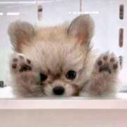 ヒメ日記 2025/06/16 21:22 投稿 志波 菜穂 30代40代50代と遊ぶなら博多人妻専科24時