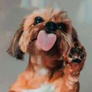 ヒメ日記 2025/06/18 09:17 投稿 志波 菜穂 30代40代50代と遊ぶなら博多人妻専科24時