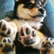 ヒメ日記 2025/06/22 08:32 投稿 志波 菜穂 30代40代50代と遊ぶなら博多人妻専科24時