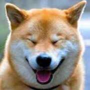 ヒメ日記 2025/06/23 21:09 投稿 志波 菜穂 30代40代50代と遊ぶなら博多人妻専科24時