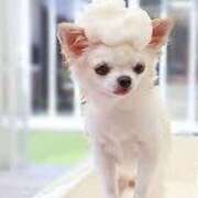 ヒメ日記 2025/06/30 08:30 投稿 志波 菜穂 30代40代50代と遊ぶなら博多人妻専科24時