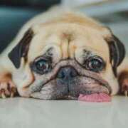 ヒメ日記 2025/07/03 09:01 投稿 志波 菜穂 30代40代50代と遊ぶなら博多人妻専科24時