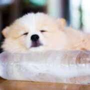 ヒメ日記 2025/07/05 14:32 投稿 志波 菜穂 30代40代50代と遊ぶなら博多人妻専科24時