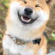 ヒメ日記 2025/07/07 20:28 投稿 志波 菜穂 30代40代50代と遊ぶなら博多人妻専科24時