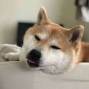 ヒメ日記 2025/07/12 09:15 投稿 志波 菜穂 30代40代50代と遊ぶなら博多人妻専科24時