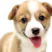 ヒメ日記 2025/07/22 20:53 投稿 志波 菜穂 30代40代50代と遊ぶなら博多人妻専科24時