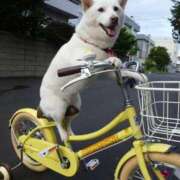 ヒメ日記 2025/07/23 22:08 投稿 志波 菜穂 30代40代50代と遊ぶなら博多人妻専科24時