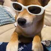 ヒメ日記 2025/07/24 19:40 投稿 志波 菜穂 30代40代50代と遊ぶなら博多人妻専科24時