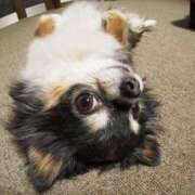 ヒメ日記 2025/07/25 08:45 投稿 志波 菜穂 30代40代50代と遊ぶなら博多人妻専科24時