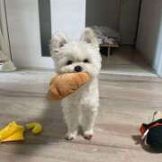 ヒメ日記 2025/07/28 17:35 投稿 志波 菜穂 30代40代50代と遊ぶなら博多人妻専科24時