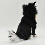 ヒメ日記 2025/07/29 20:02 投稿 志波 菜穂 30代40代50代と遊ぶなら博多人妻専科24時